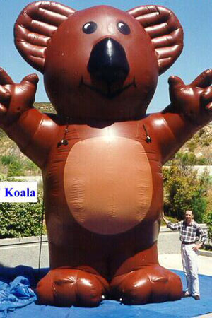 20' Kaola 