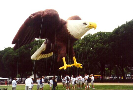 40' Eagle 