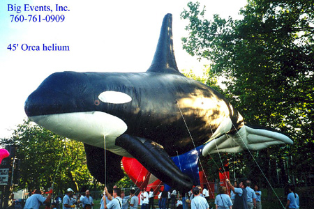 45' Orca