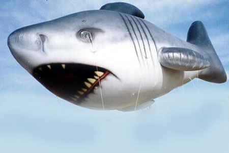 30' Shark