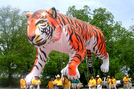 45&rsquo; Tiger 