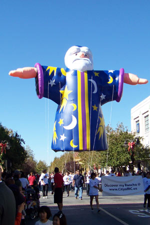 30' Wizard 