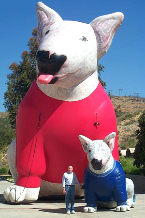 30' Dogs 