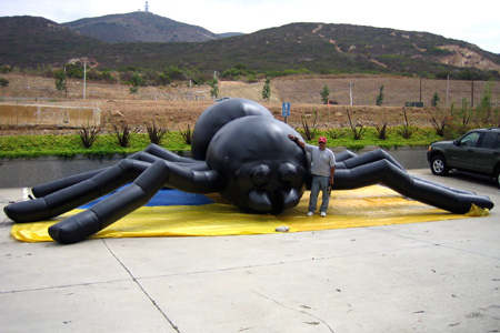 30' Spider