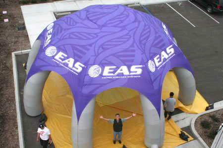 Adidas Tunnel
