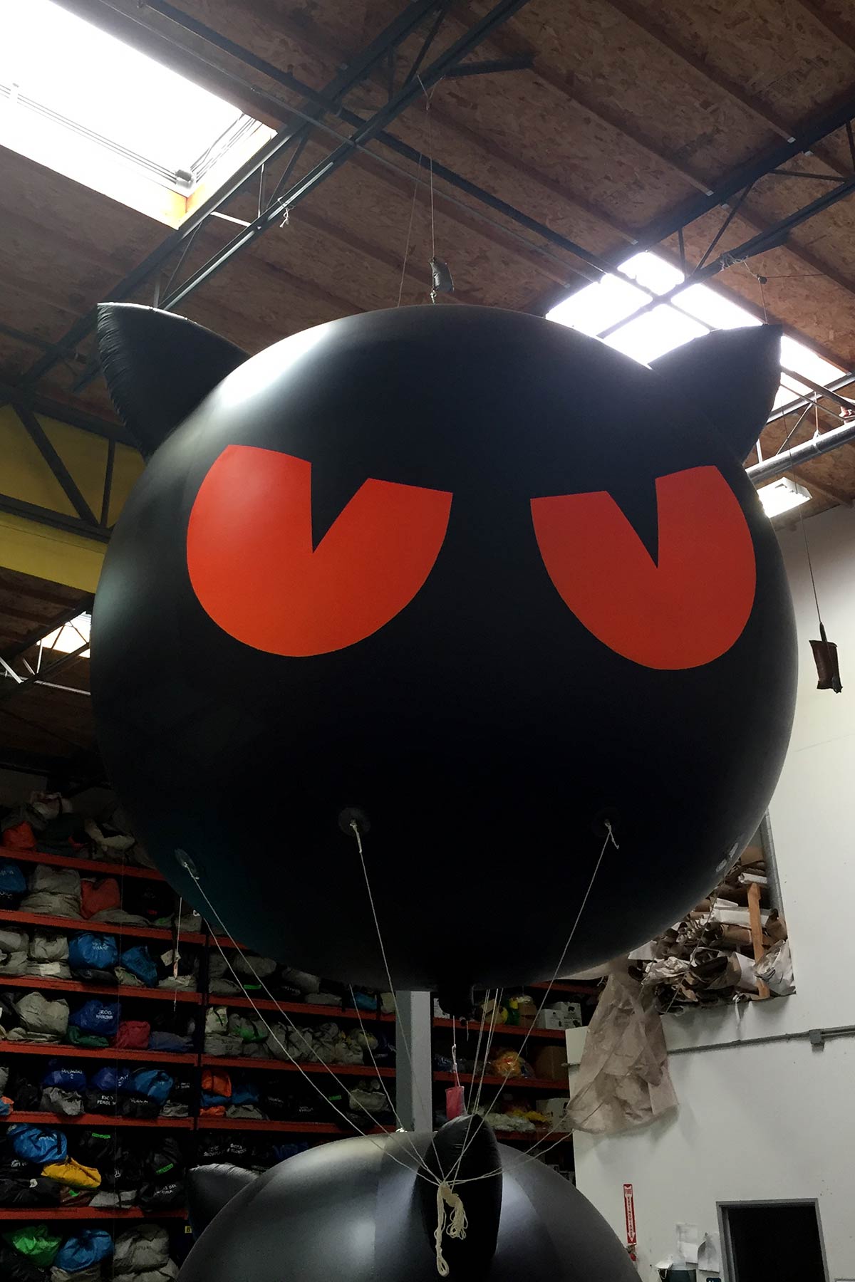 Helium Parade Balloons 