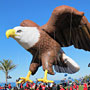 eagle
