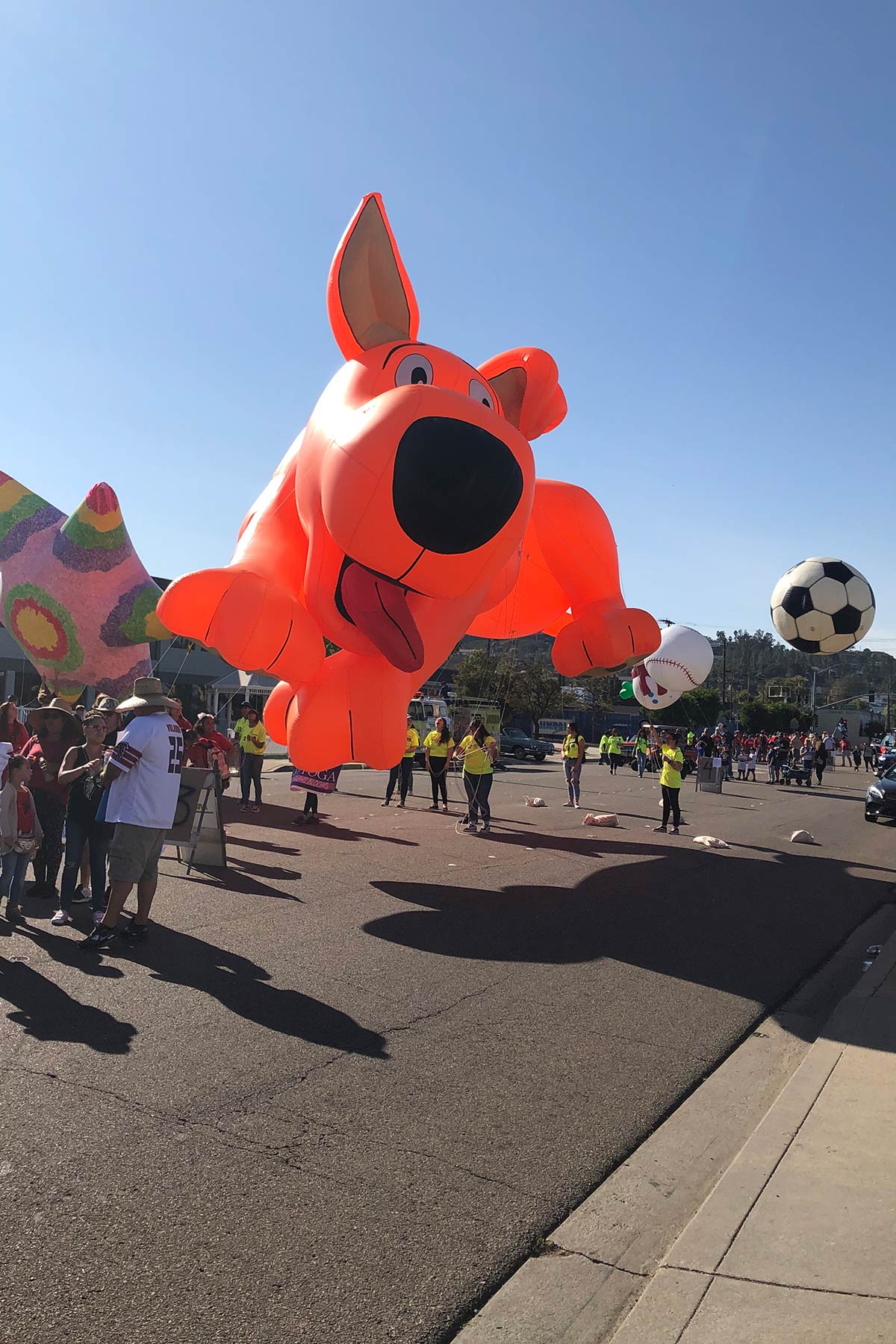 Helium Parade Balloons 