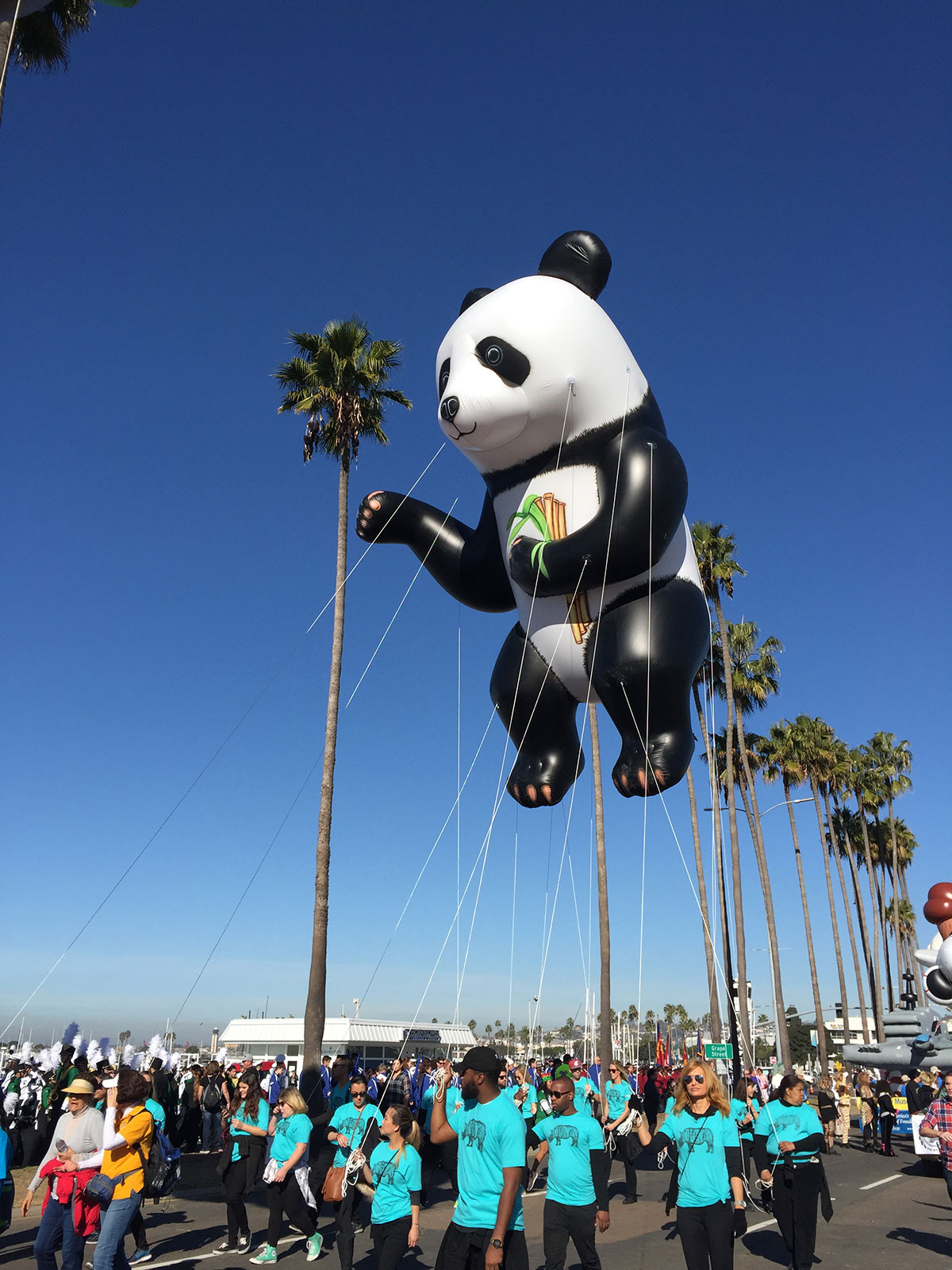 Helium Parade Balloons 