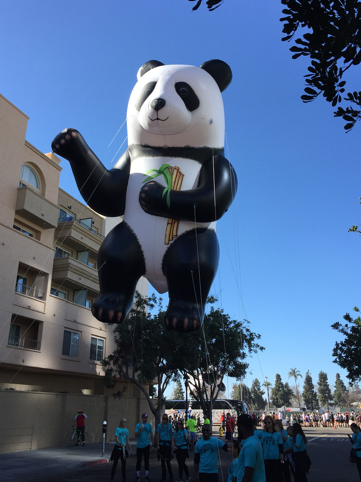 Helium Parade Balloons