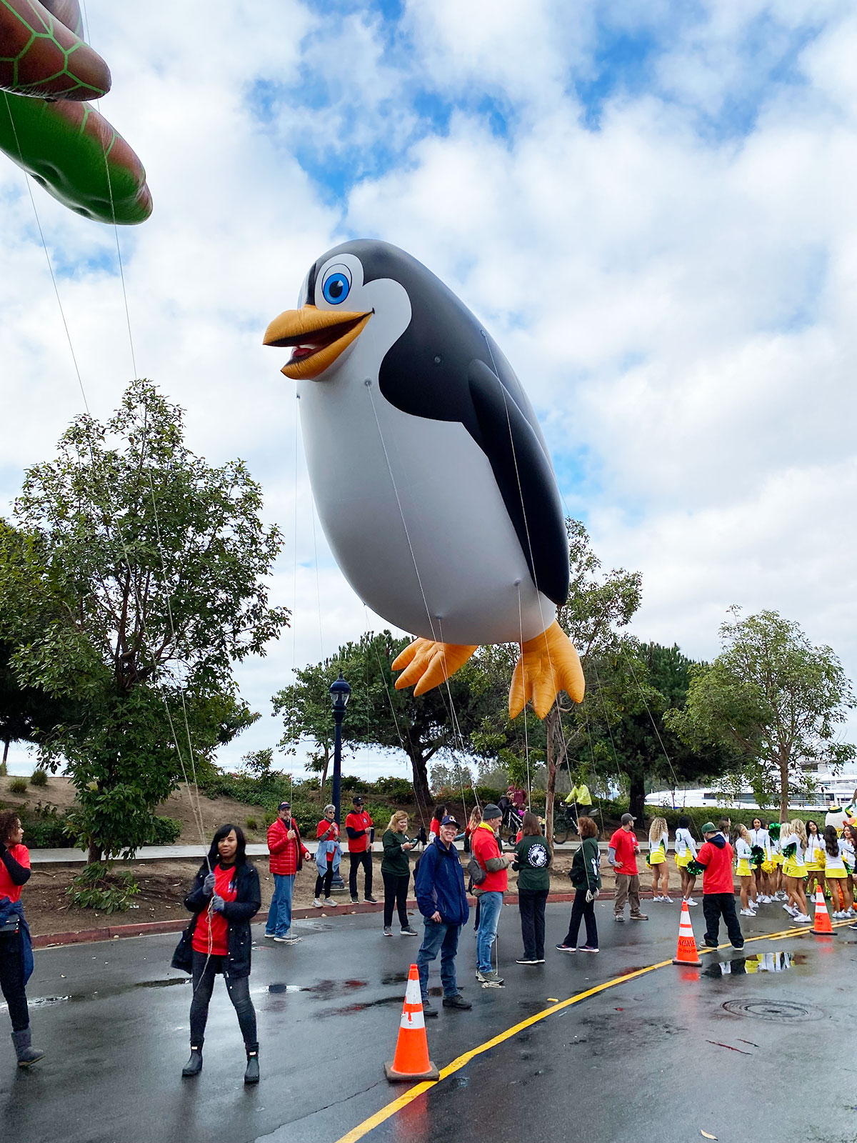 Helium Parade Balloons 