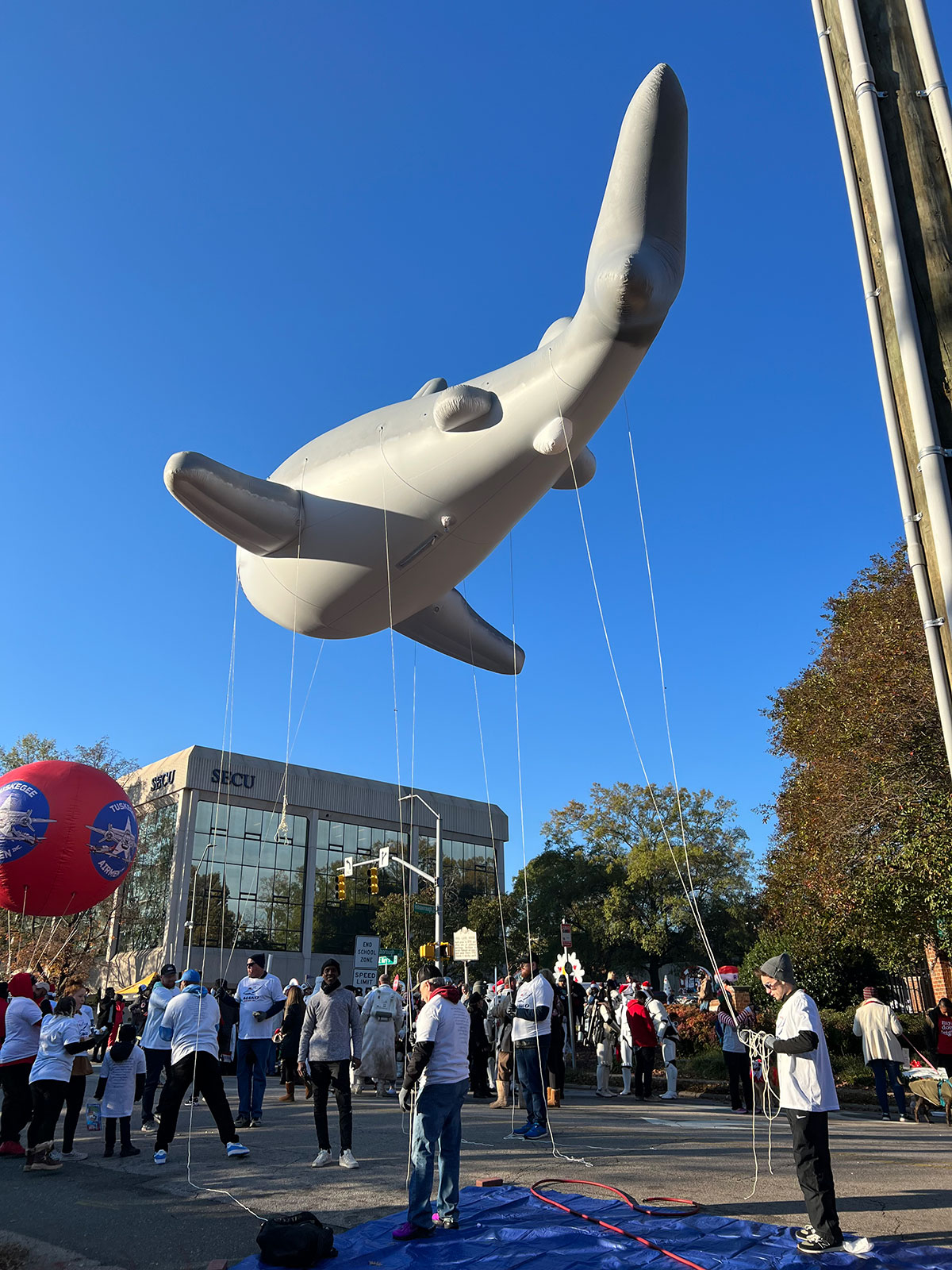 Helium Parade Balloon