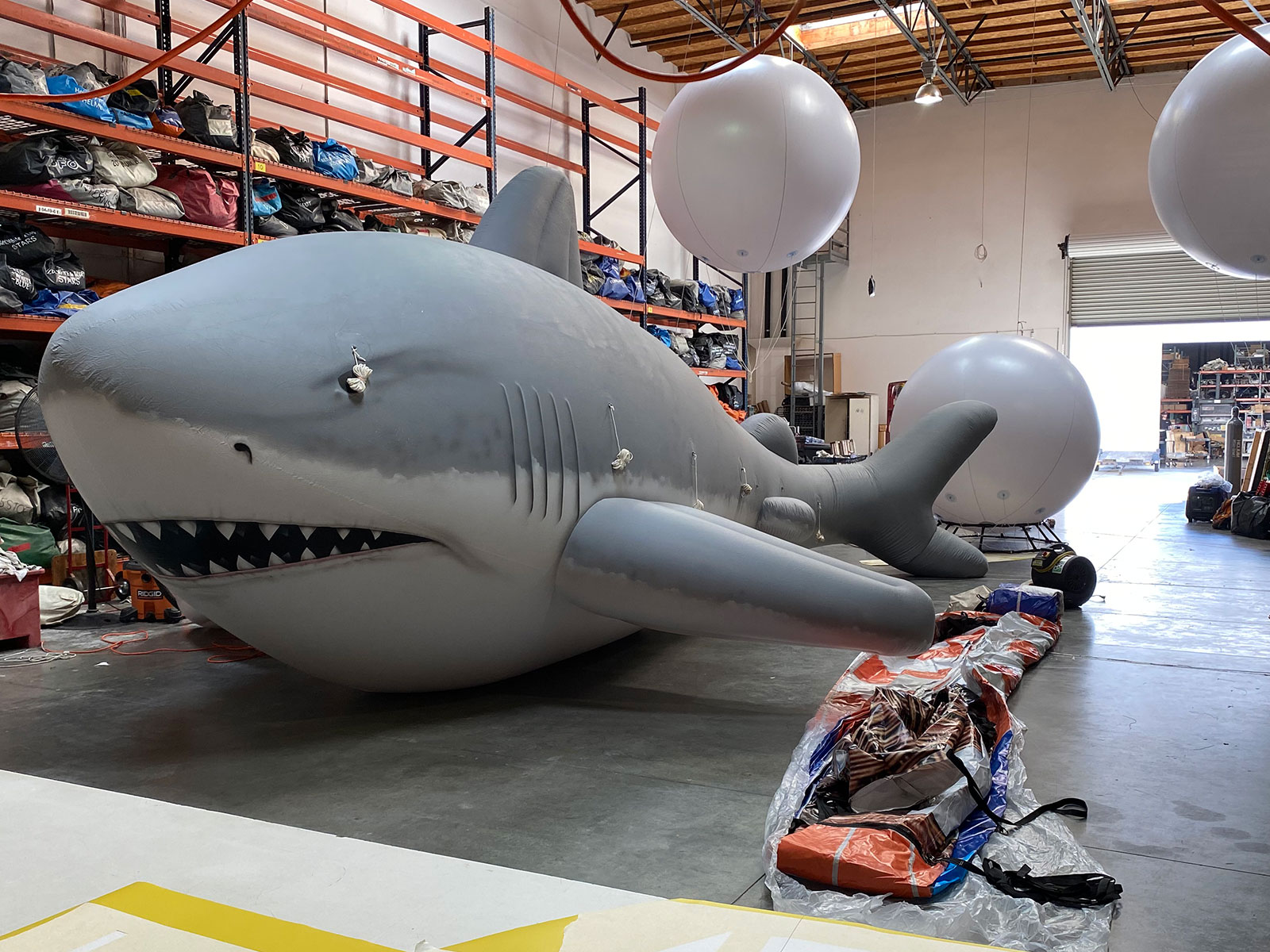 Helium Parade Balloon Shark