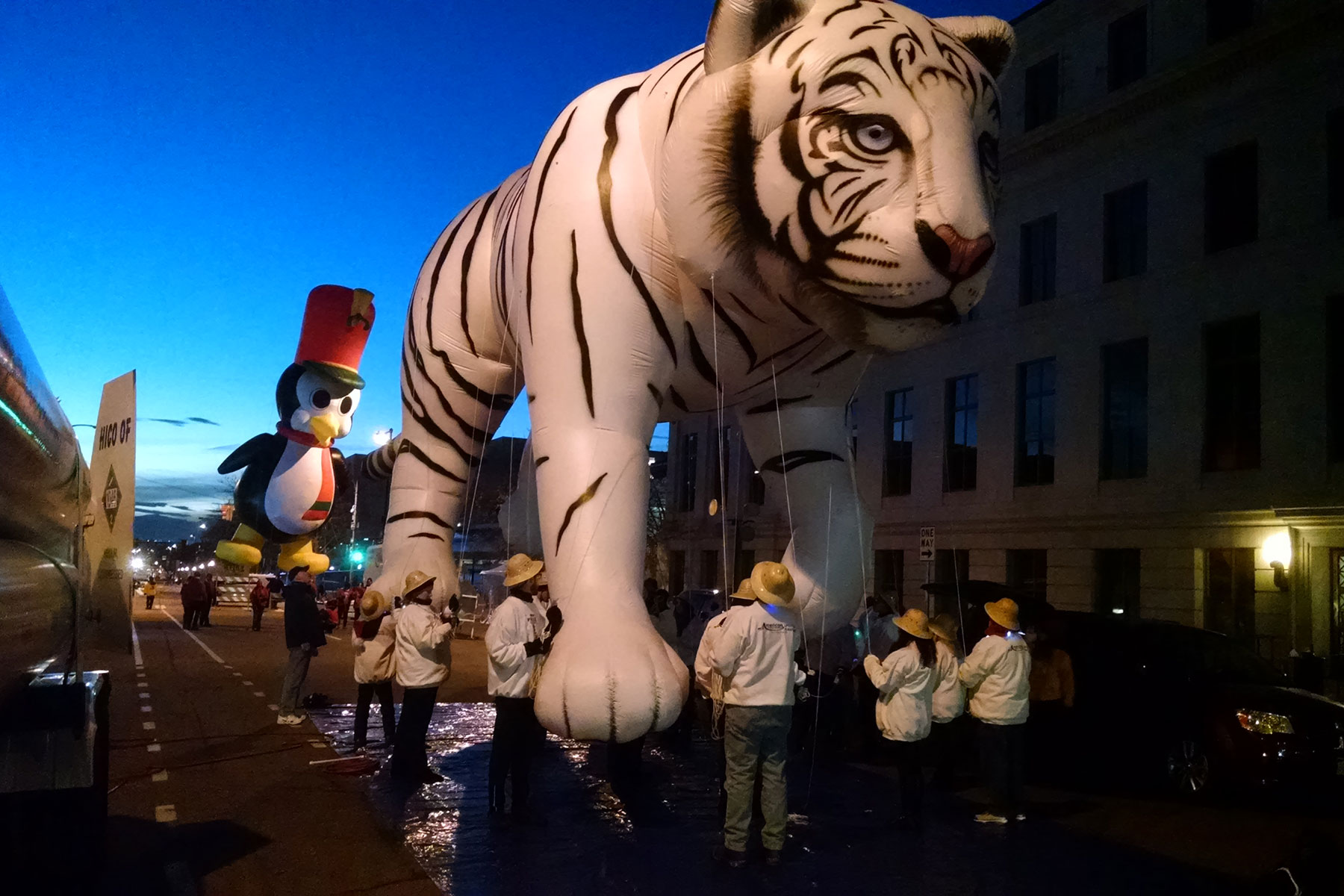 Helium Parade Balloons 