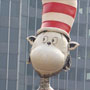 Cat in the Hat 