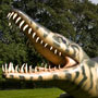 Dinosaur Custom Inflatable