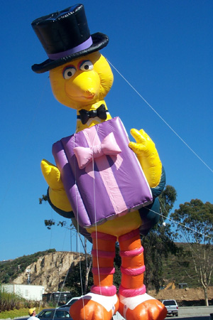 40' Big Bird