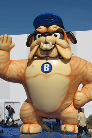 20' Bull Dog