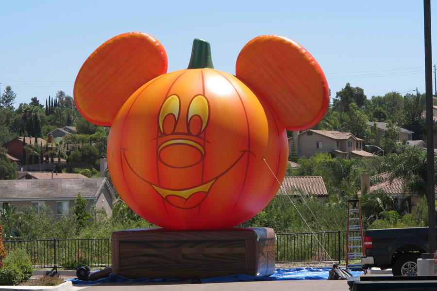 Mickey Head